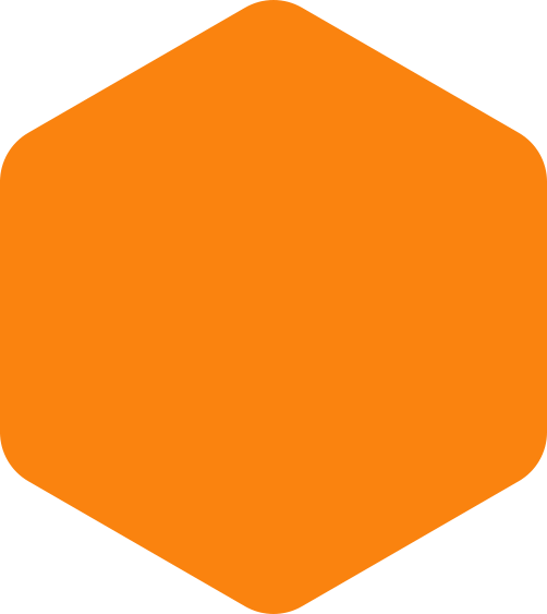 https://najco.brahmanet.net/wp-content/uploads/2020/09/hexagon-orange-huge.png